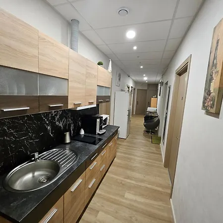 Apartment Lux Kambarys Centre Su Karaliska Lova Kaunas