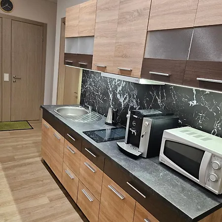 Lux Kambarys Centre Su Karaliska Lova Apartment Kaunas